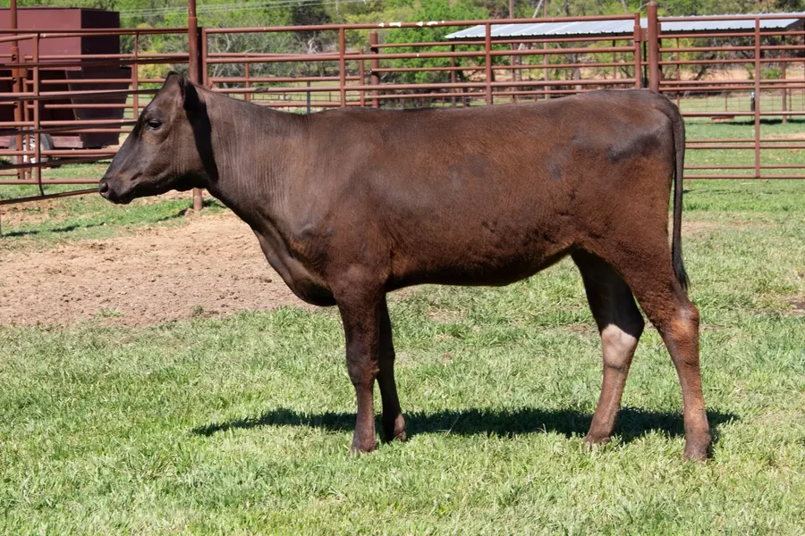 Lot 10A