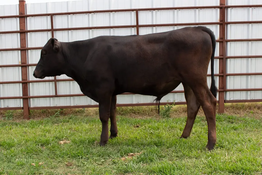 Lot 11A