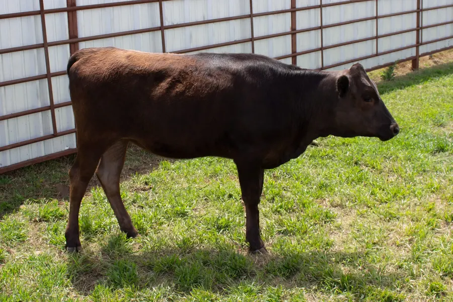 Lot 15A