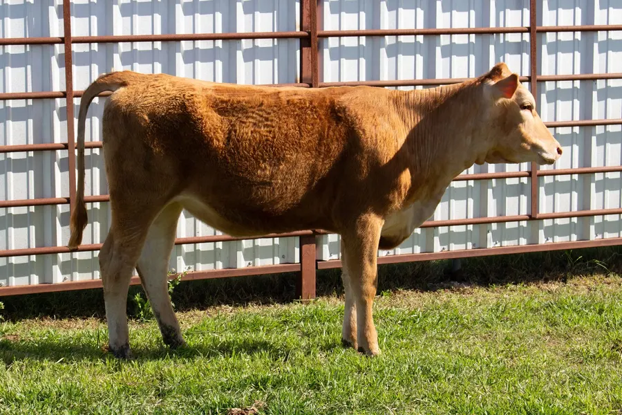 Lot 19A