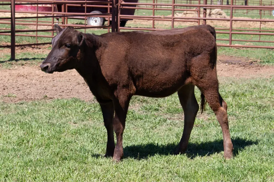 Lot 30A