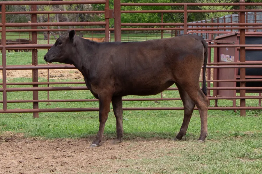 Lot 6A