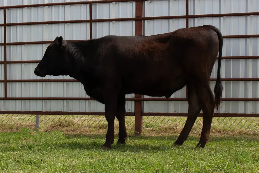 Lot 8A
