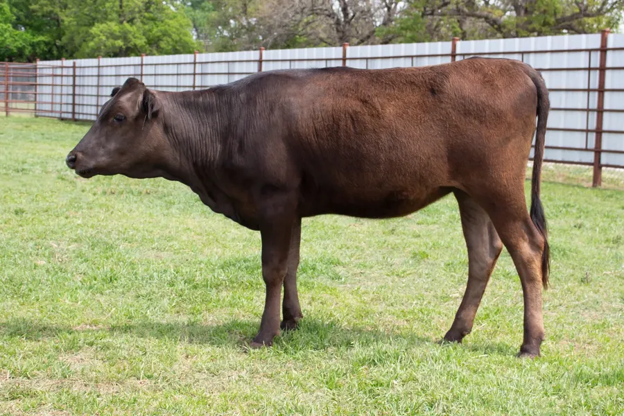Lot 9