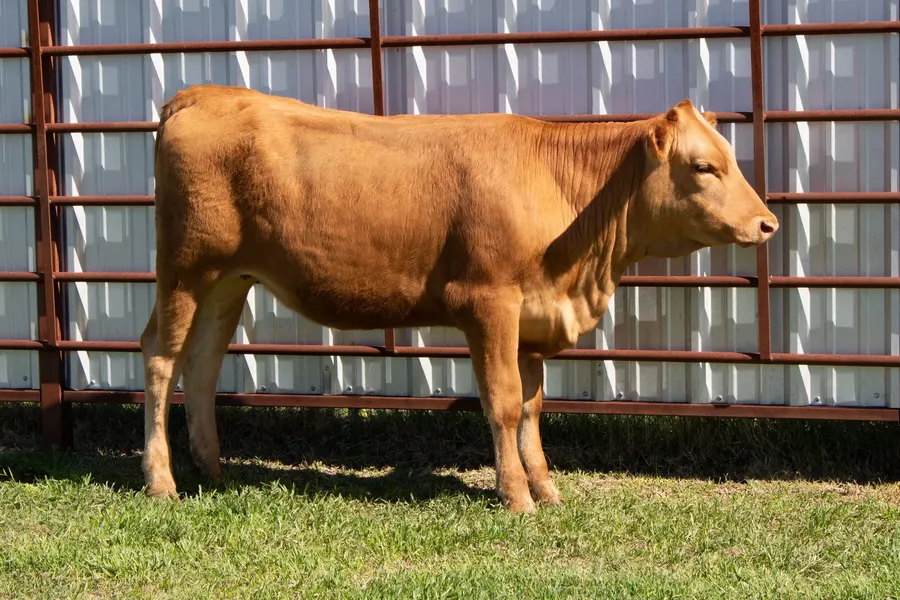 Lot H613