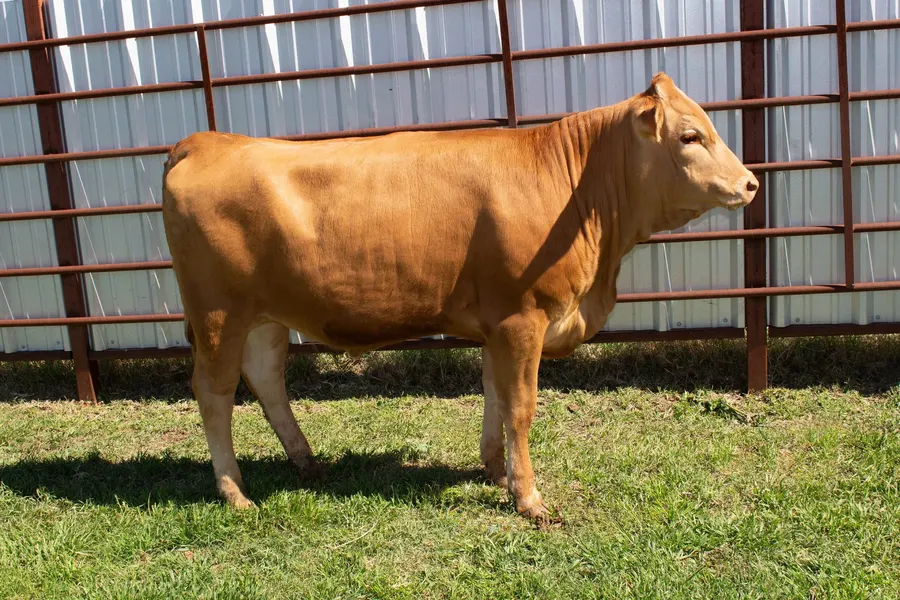 Lot H6658