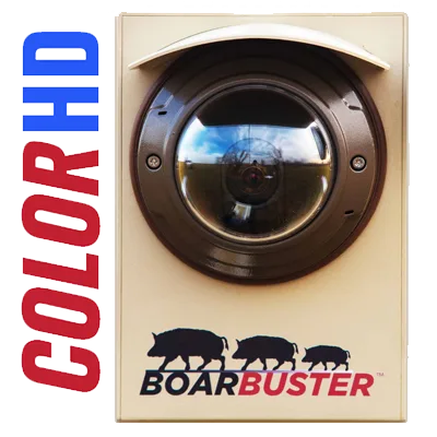 BoarBuster COLOR HD camera