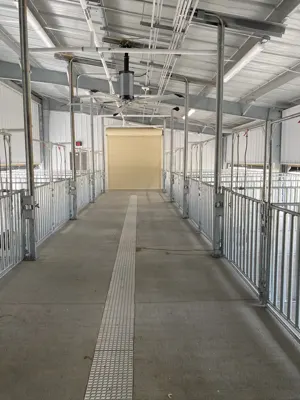 Tomball ISD project photo 5