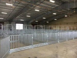 Corpus Christi project photo 12