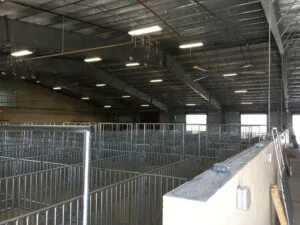 Corpus Christi project photo 17