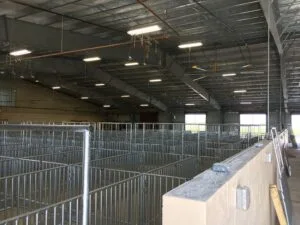 Corpus Christi project photo 23