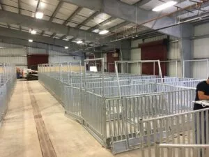 Corpus Christi project photo 8