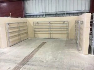 Corpus Christi project photo 11
