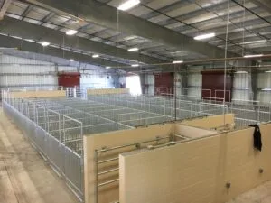 Corpus Christi project photo 24