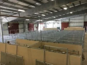 Corpus Christi project photo 20