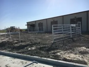 Corpus Christi project photo 10
