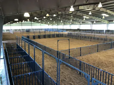 Denton ISD project photo 19