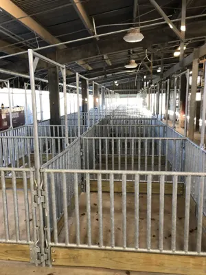 Pearland ISD project photo 5