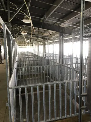 Pearland ISD project photo 7