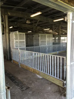 Pearland ISD project photo 10