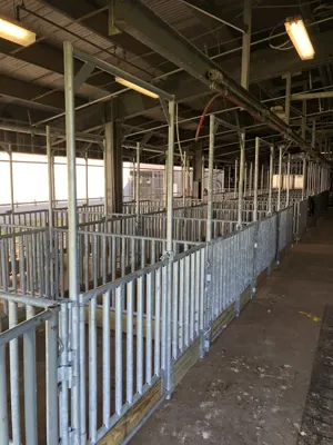 Pearland ISD project photo 11