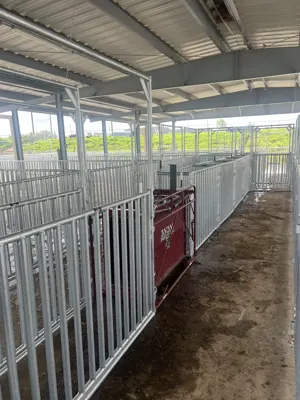 Prairie View A&M University - International Goat Research Center project photo 2