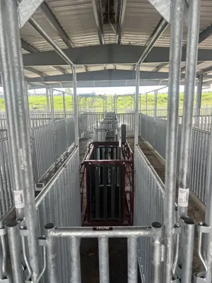 Prairie View A&M University - International Goat Research Center project photo 1