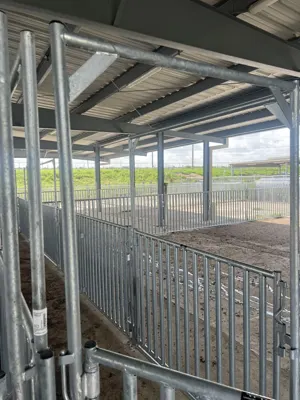 Prairie View A&M University - International Goat Research Center project photo 5