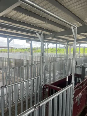 Prairie View A&M University - International Goat Research Center project photo 4