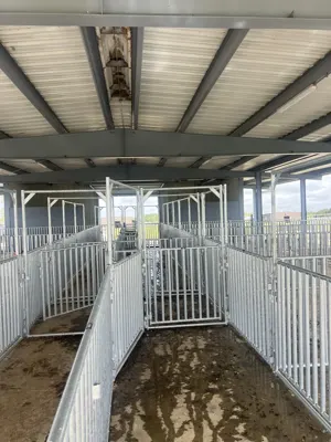 Prairie View A&M University - International Goat Research Center project photo 3