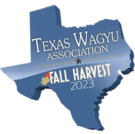 FALL HARVEST 2023 logo