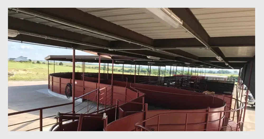 Covered feeding pens