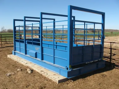 Cattle Scale