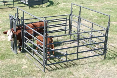 Maternity Pen