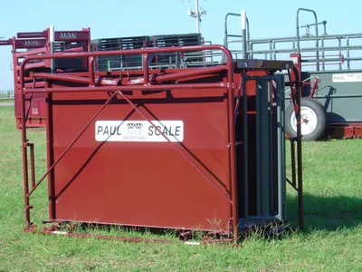 WW Paul Scales 70SX Hog & Sheep Scale
