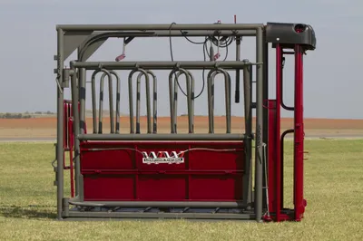 WW Beefmaster Standard Squeeze Chute