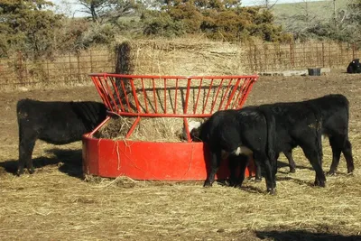 Bextra West Round Bale Feeder