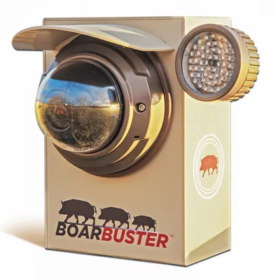 WW BoarBuster Color HD Replacement