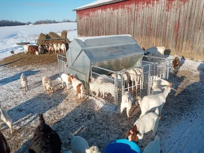 Universal Feeders 4000