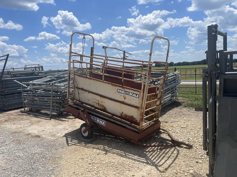 Used WW Paul Cattle Scale 242
