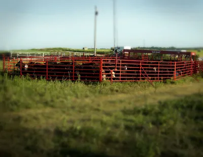 Titan West Portable 24′ O.K. Corral “Senior”