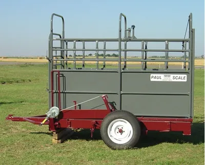 WW Paul Scales 300S