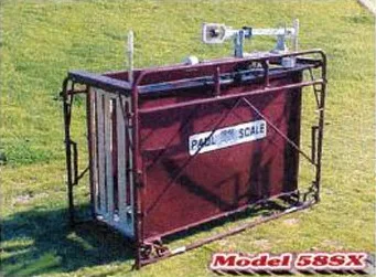 WW Paul Scales 58SX