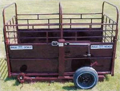 WW Paul Scales 602S
