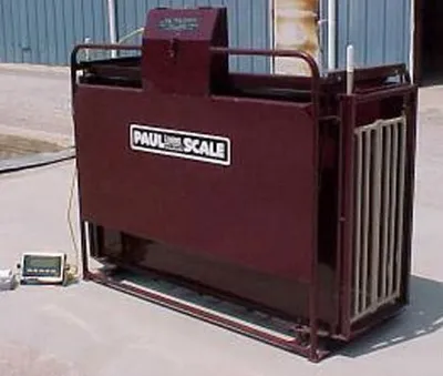 WW Paul Scales LFT-700S