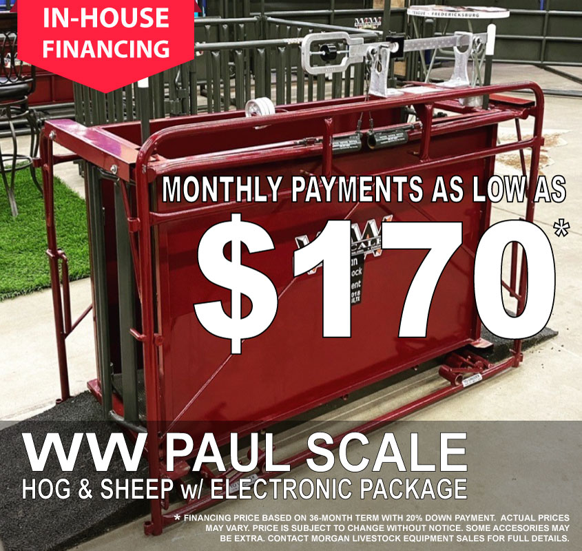 WW Paul Scales 58SX – Morgan Livestock Equipment